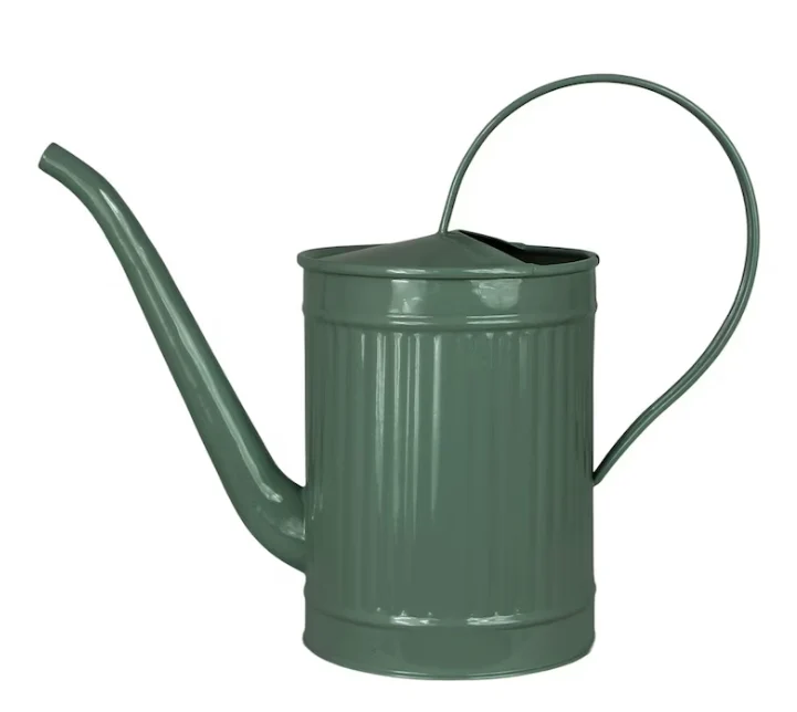 Vattenkanna Hugo Mörkgrön