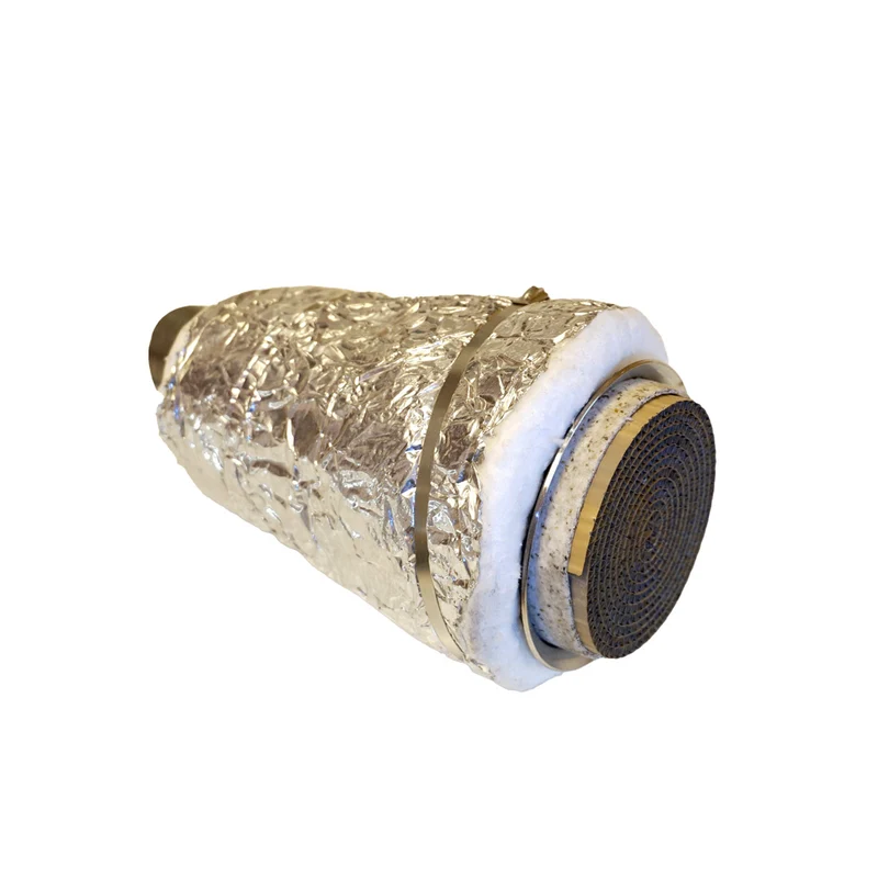 Catalytic converter assembly w/housing (2015-2019) TM